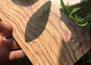 Représentation mécanique en bois de finition de grain de manteau de poudre de haute performance bonne
